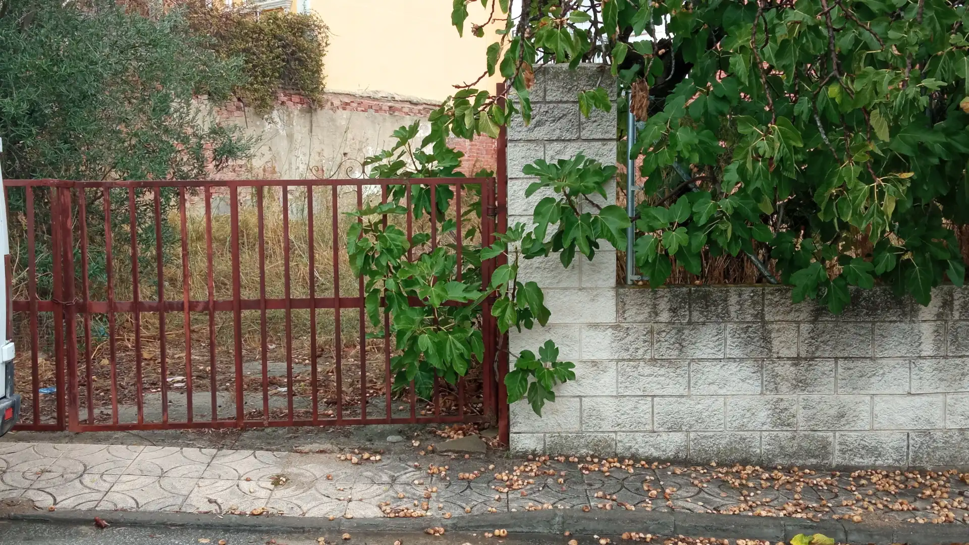 Terreni e lotti in vendita a Calle Matalasganas, imagen 4