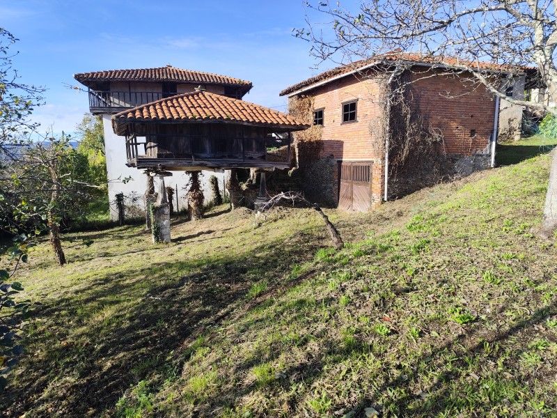 Vista exterior de Finca rústica en venda en Pravia