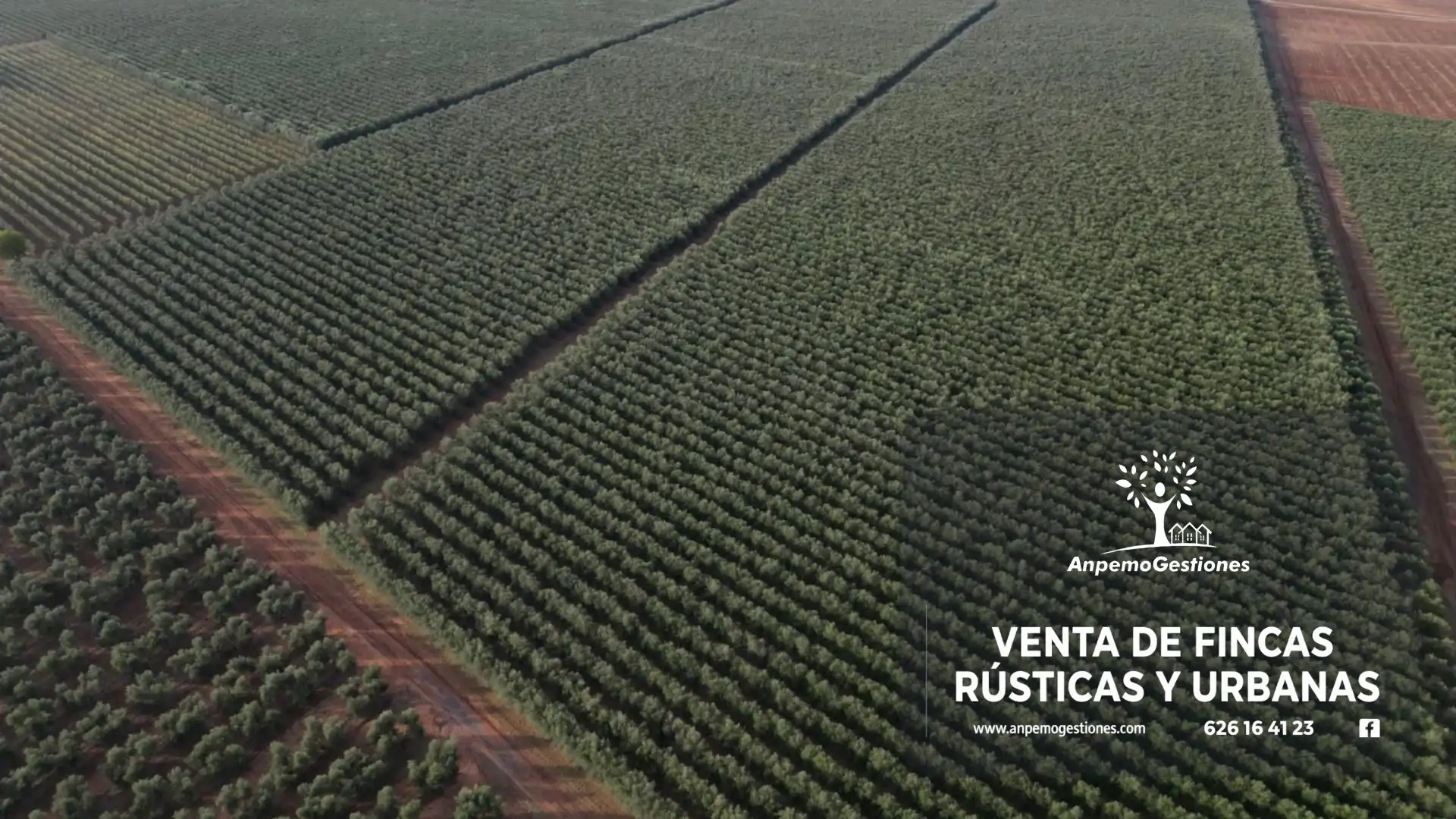 Terreny rústic en venda a Camino Naves de los Labradore 10, imagen 2