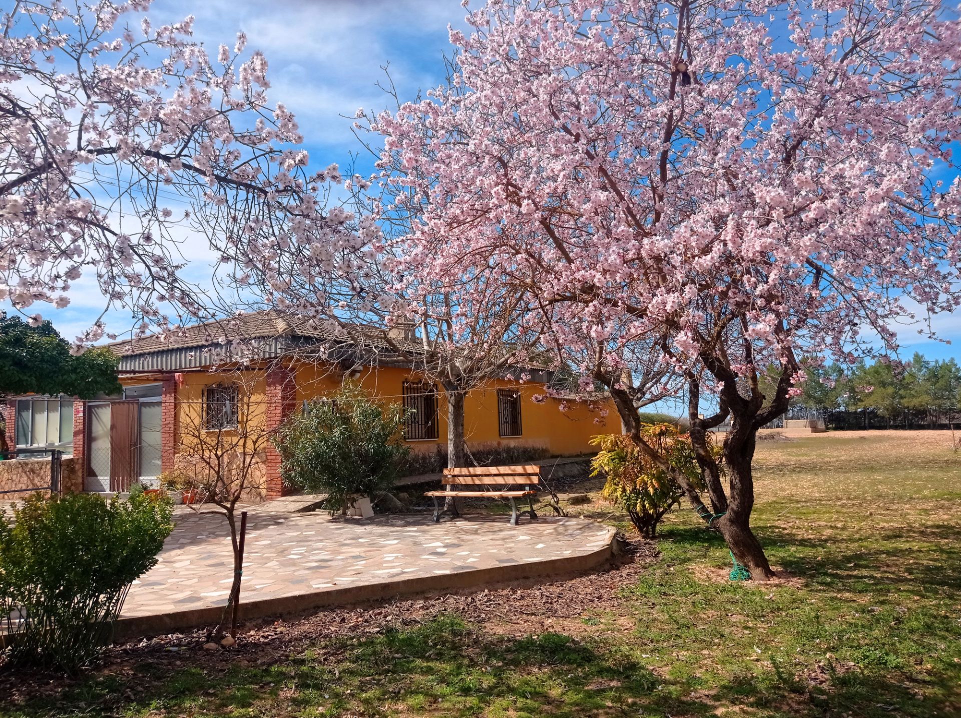 Jardín de Casa o chalet en venta en  Albacete Capital con Jardín privado, Terraza y Trastero