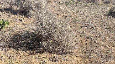 Photo 5 of Land for sale in La Herradura - Balcón de Telde, Las Palmas