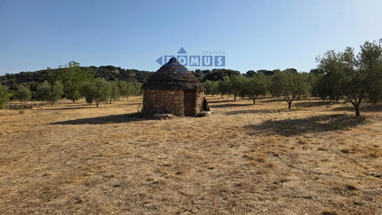 Terreno en venta en Camino Cartajima, carretera de san pedro, Partidas Sur