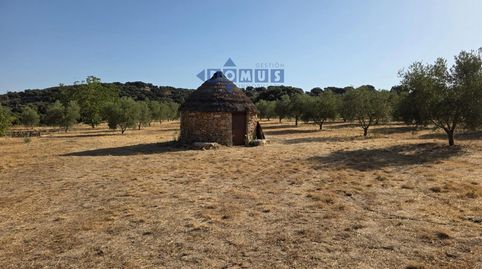 Foto 4 de Terreno en venta en Camino Cartajima, Carretera de San Pedro, Partidas Sur, Ronda