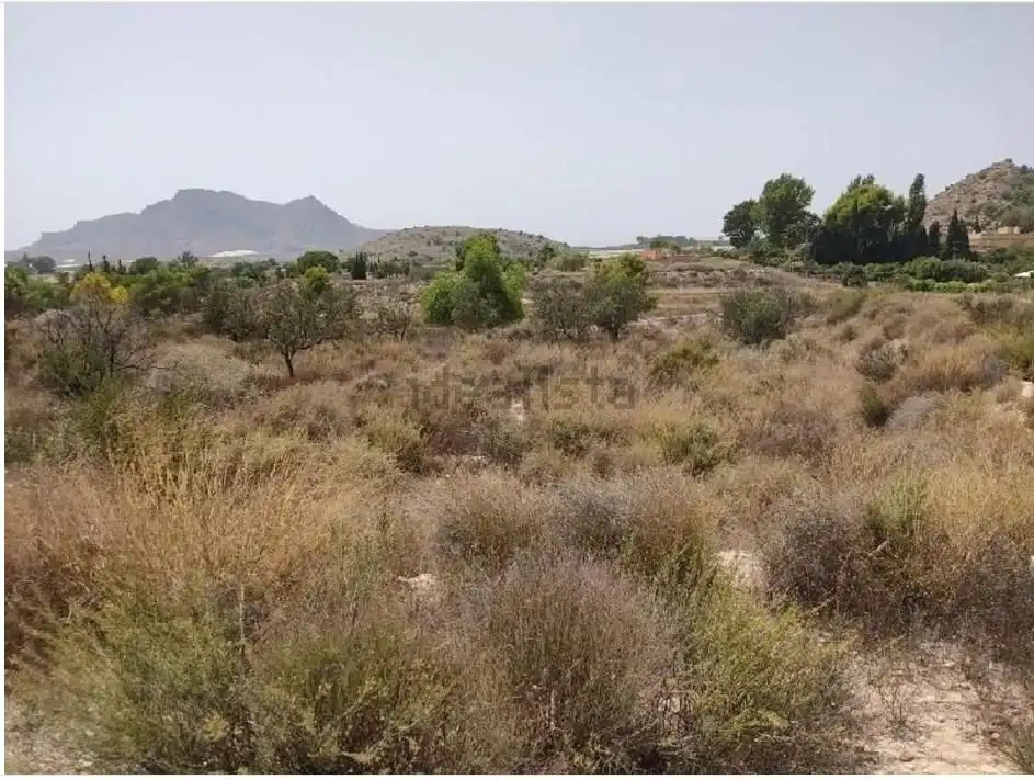 Terrain résidentiel à vendre à Agost, imagen 6