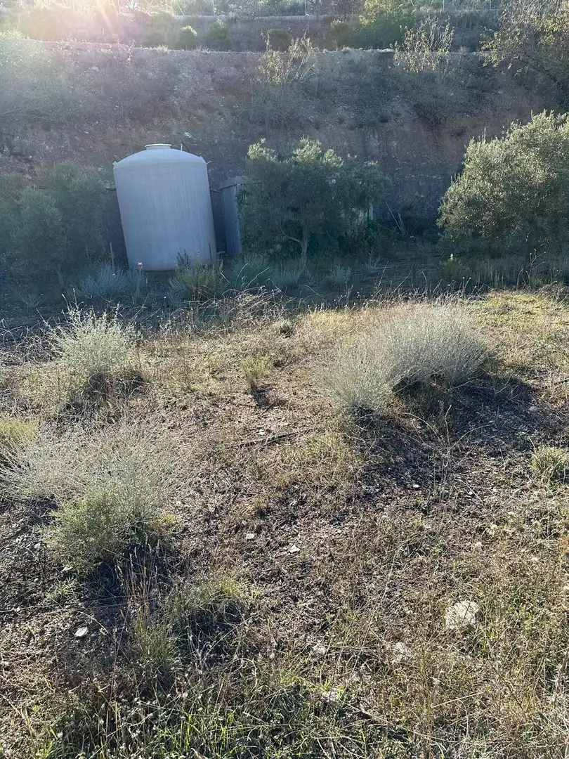 Terreny rústic en venda a Polígono 13 parcela 750, imagen 9