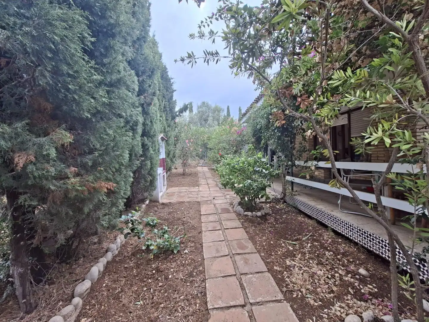Jardín de Casa o chalet en venta en Alcanar con Jardín privado, Terraza y Trastero