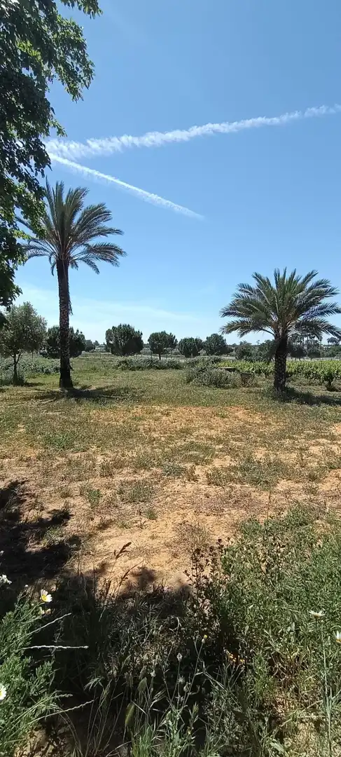Terreny residencial en venda a Villamanrique de la Condesa