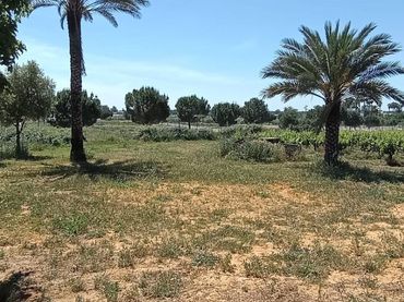 Terreny residencial en venda a Villamanrique de la Condesa