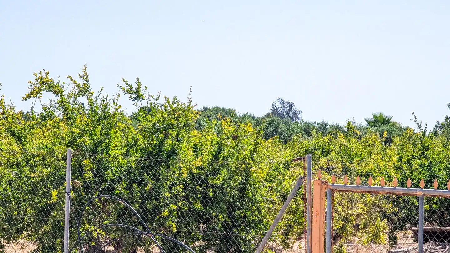 Casa o xalet en venda en Elche / Elx amb Aire condicionat, Jardí privat i Terrassa