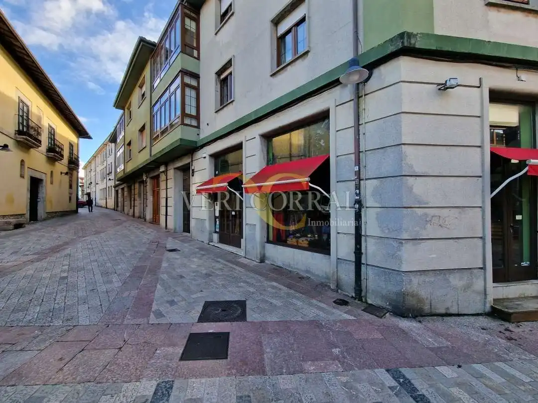 Gewerbefläche zum Verkauf in Calle Posada Argüelles, imagen 8