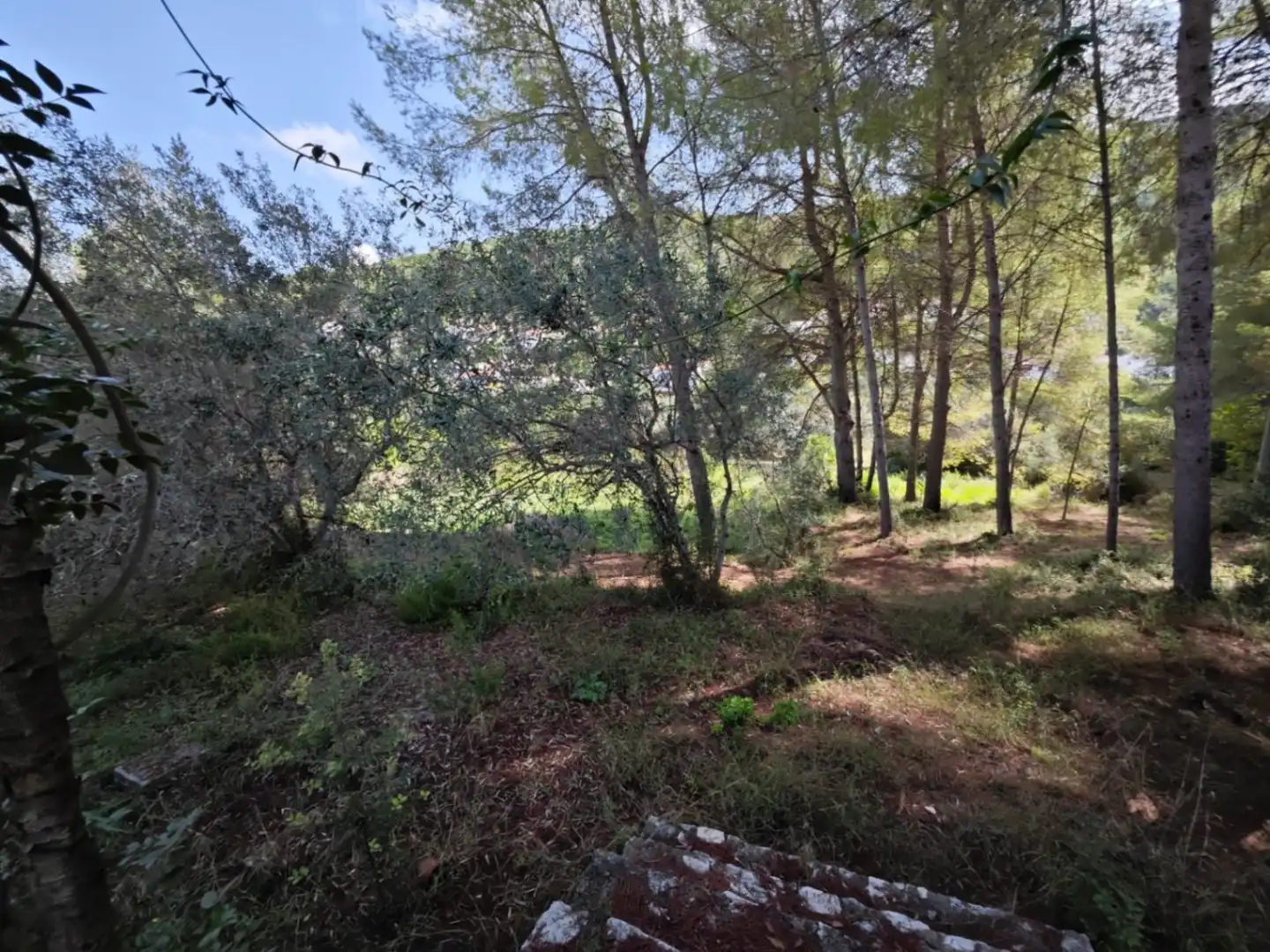 Casa rústica amb piscina en venda a Orba, imagen 8