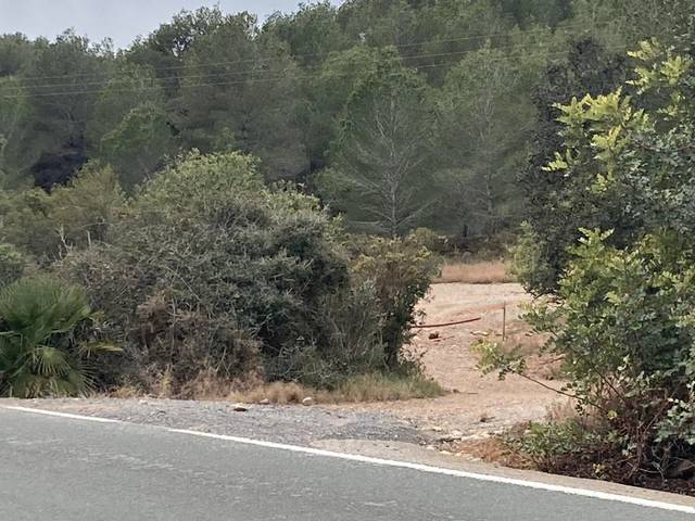 Terreno en Venta en Fanzara