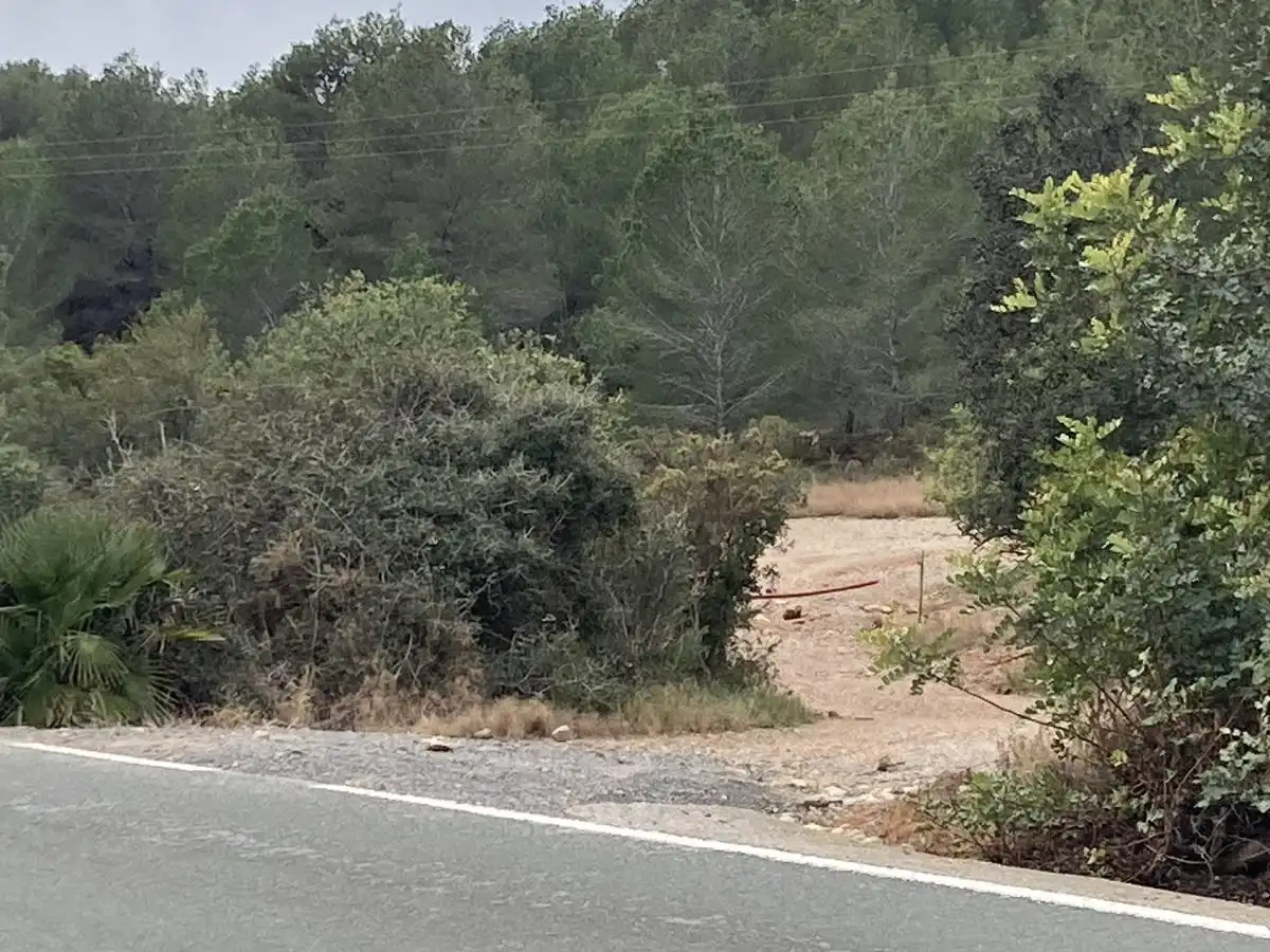 Terreno rustico in vendita a Fanzara, imagen 3