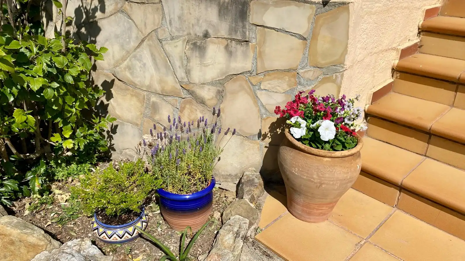 House with garden for sale in Nord, imagen 43