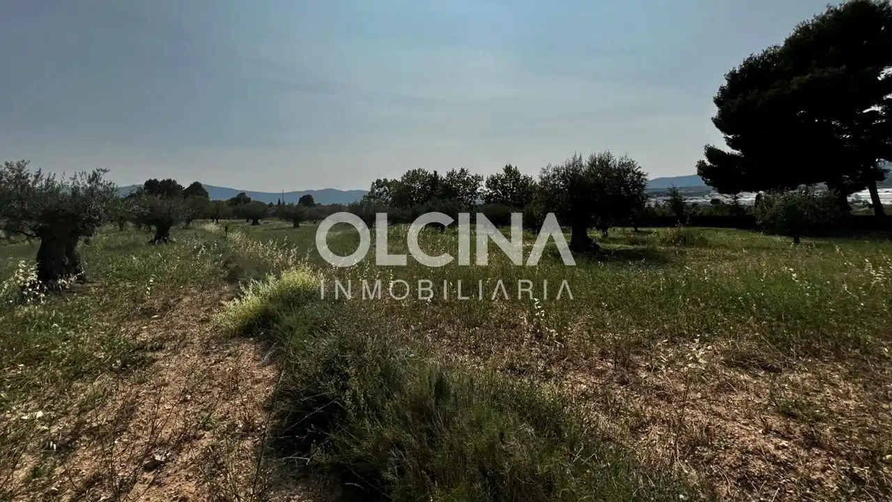 Terreno rústico en venta en Ibi, imagen 9