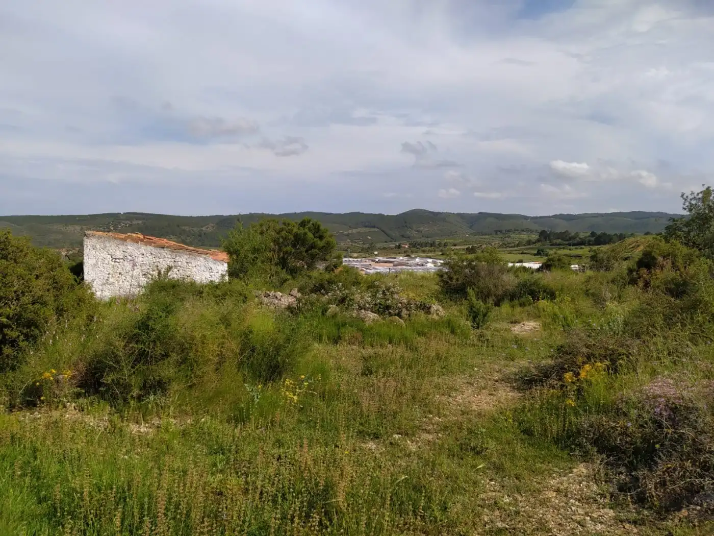 Terreno industrial en venta en Les Coves de Vinromà
