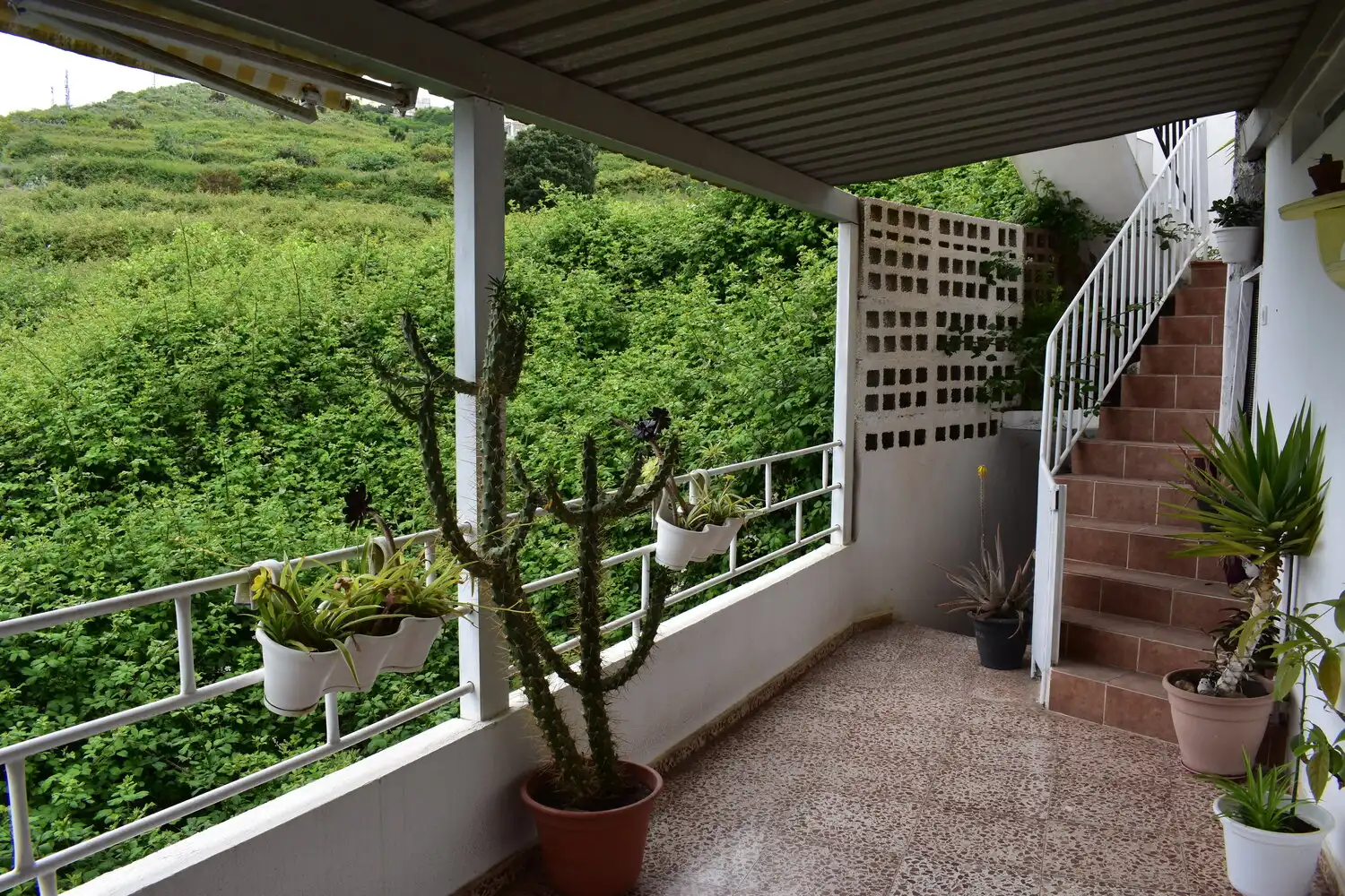 Terrassa de Finca rústica en venda en Icod de los Vinos amb Terrassa i Moblat