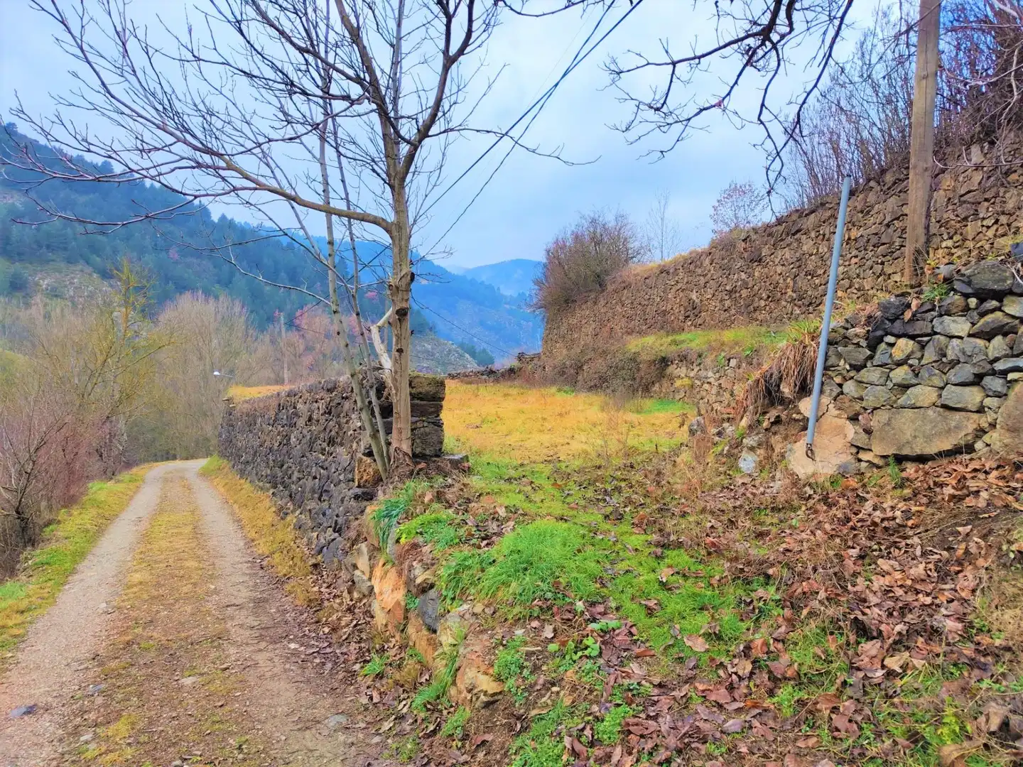 Terrenys i solars en venda a Montellà i Martinet, imagen 6