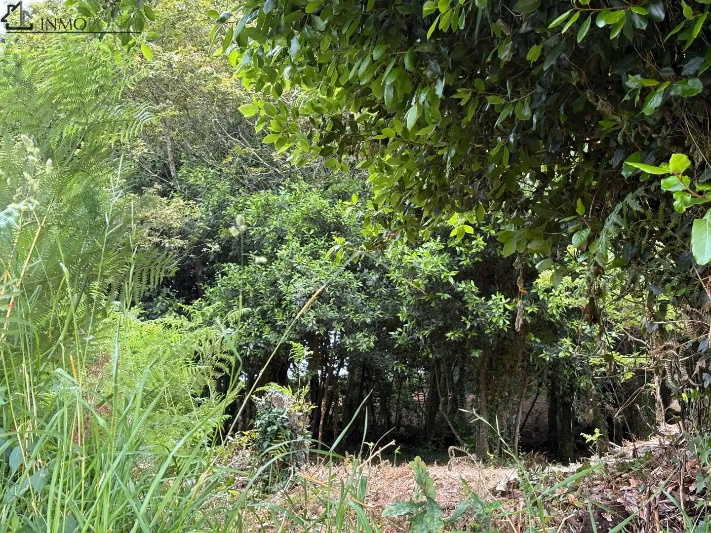 Terrenys i solars en venda a Samieira, imagen 5