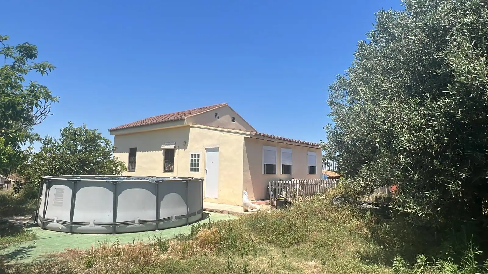 Vista exterior de Casa o chalet en venta en Sueca con Jardín privado, Terraza y Piscina