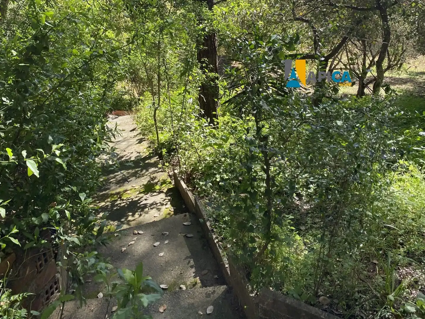 Rural land for sale in Castellar de la Frontera, imagen 28