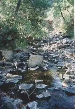 Terreni e lotti in vendita a Estepona - Estepona,Centro,Camino de Montesol, imagen 9