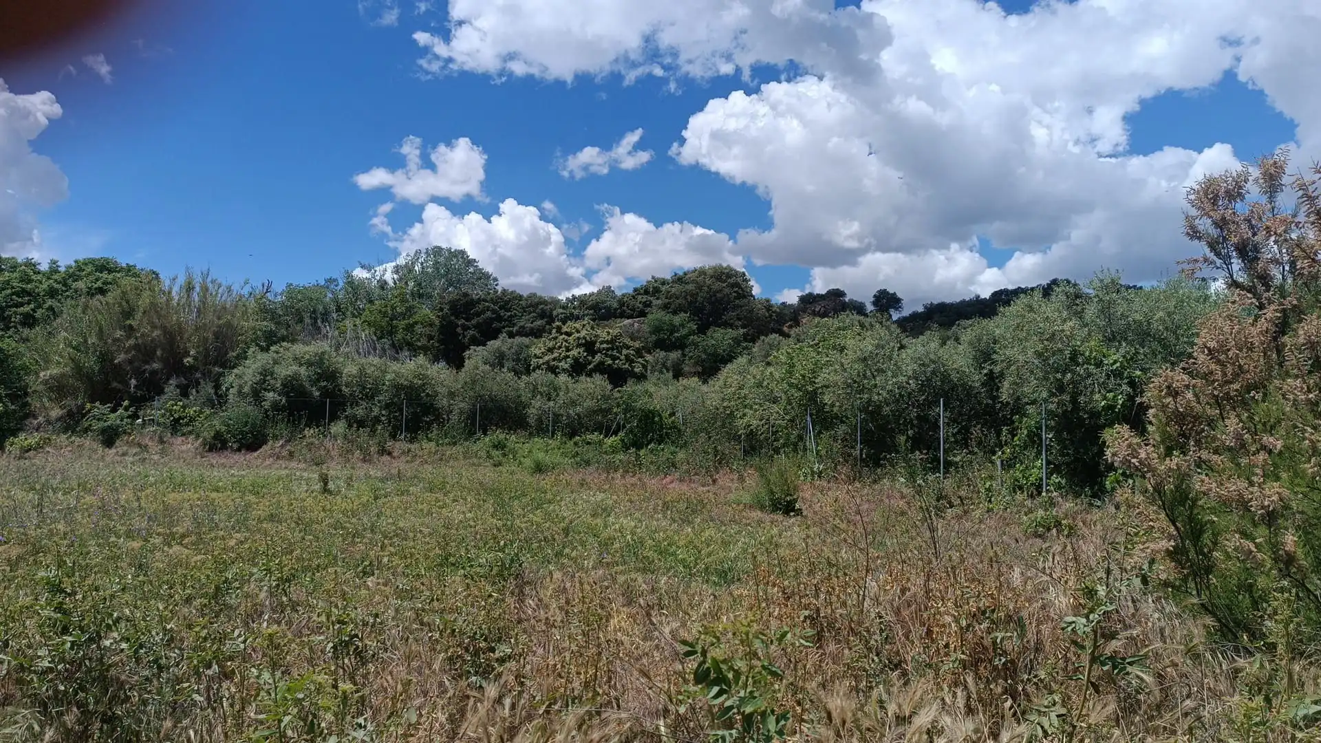 Terreni e lotti in vendita a Almunia de San Juan, imagen 7