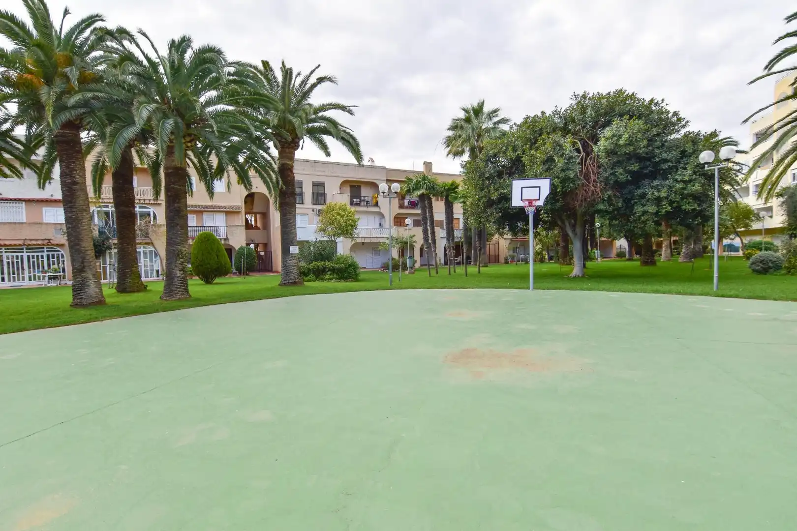 Mini appartamento con terrazza in affitto a Avenida MAR, imagen 34