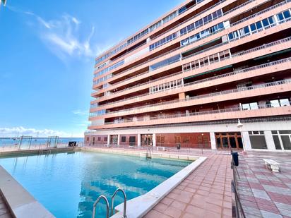 Piscina de Pis en venda en Torrevieja amb Terrassa, Moblat i Piscina comunitària