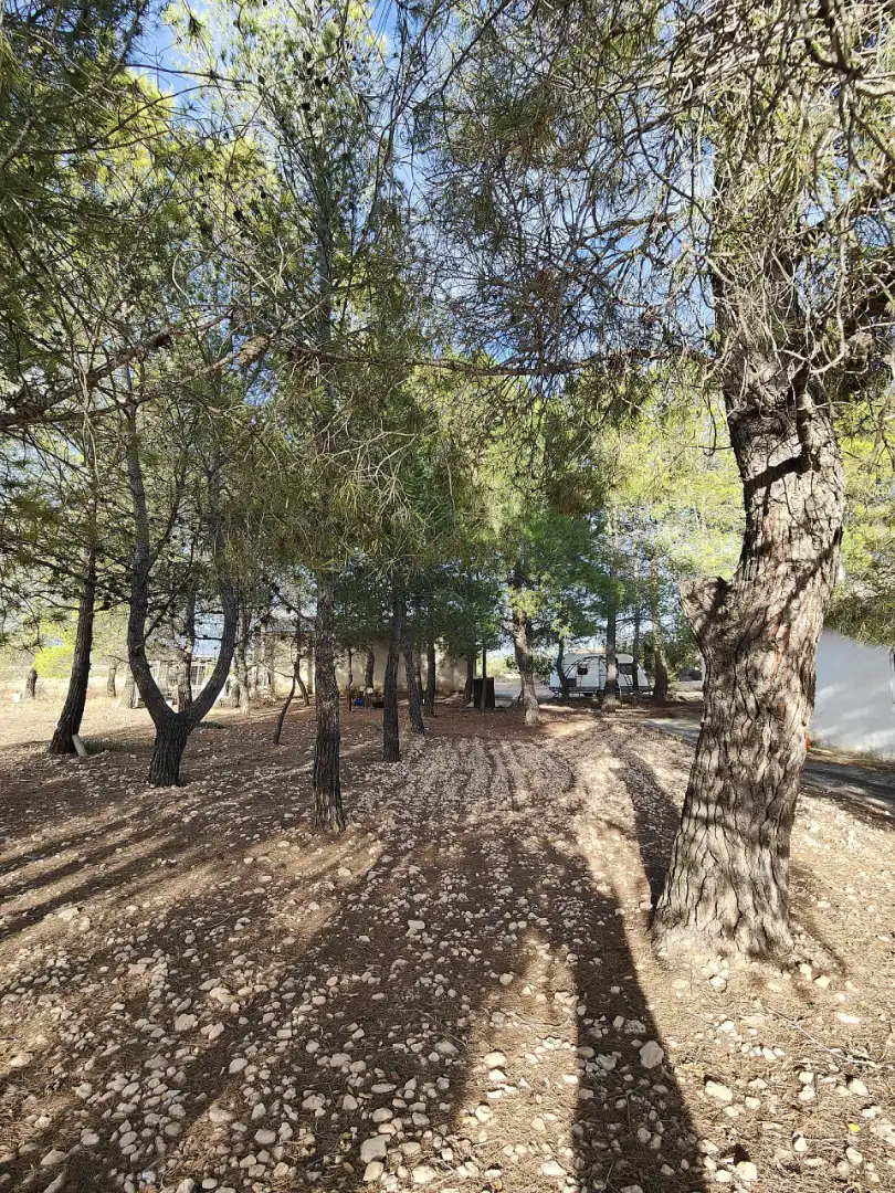 Casa o xalet en venda en Yecla amb Jardí privat, Terrassa i Piscina