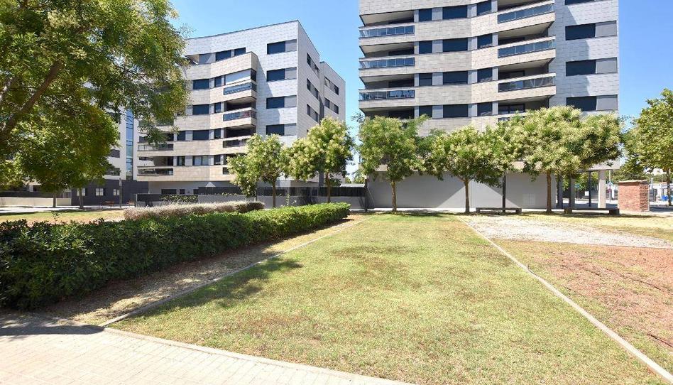 Foto 1 de Pis de lloguer a Barri del Mar, Barcelona