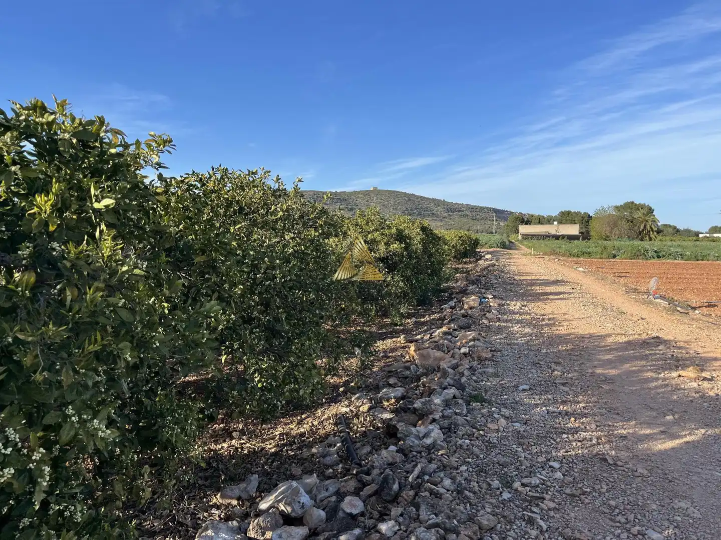 Terrenos y solares en venta en Pueblo