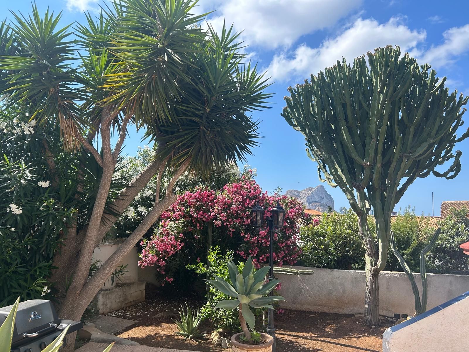 Casa o chalet en venta en Carrió - La Merced - Los Pinos