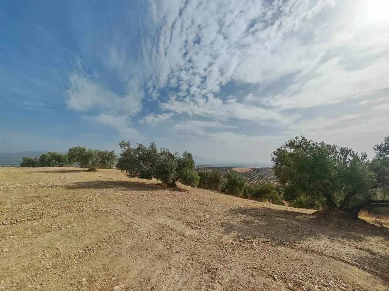 Land for sale in Salar