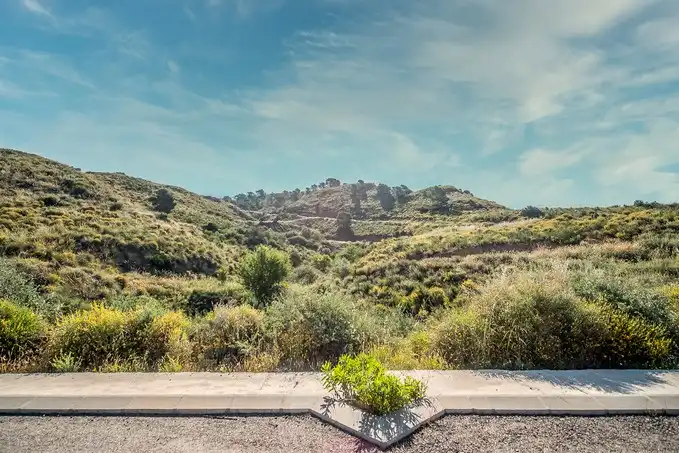 Vista exterior de Terreno en venta en Lorca
