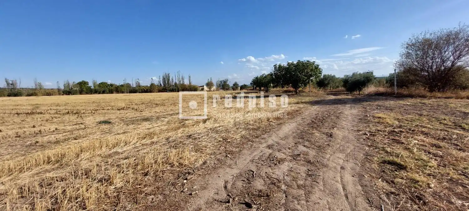 Terreny residencial en venda a Cebolla, imagen 9