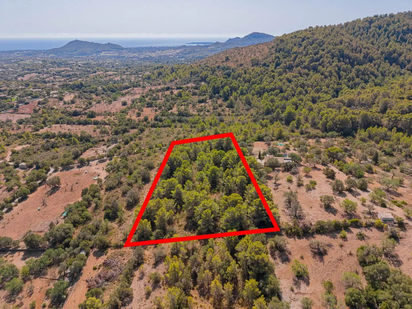 Rural land for sale in Son Servera Poble, imagen 2