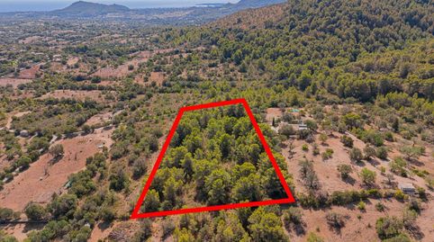 Photo 2 of Land for sale in Son Servera Poble, Son Servera