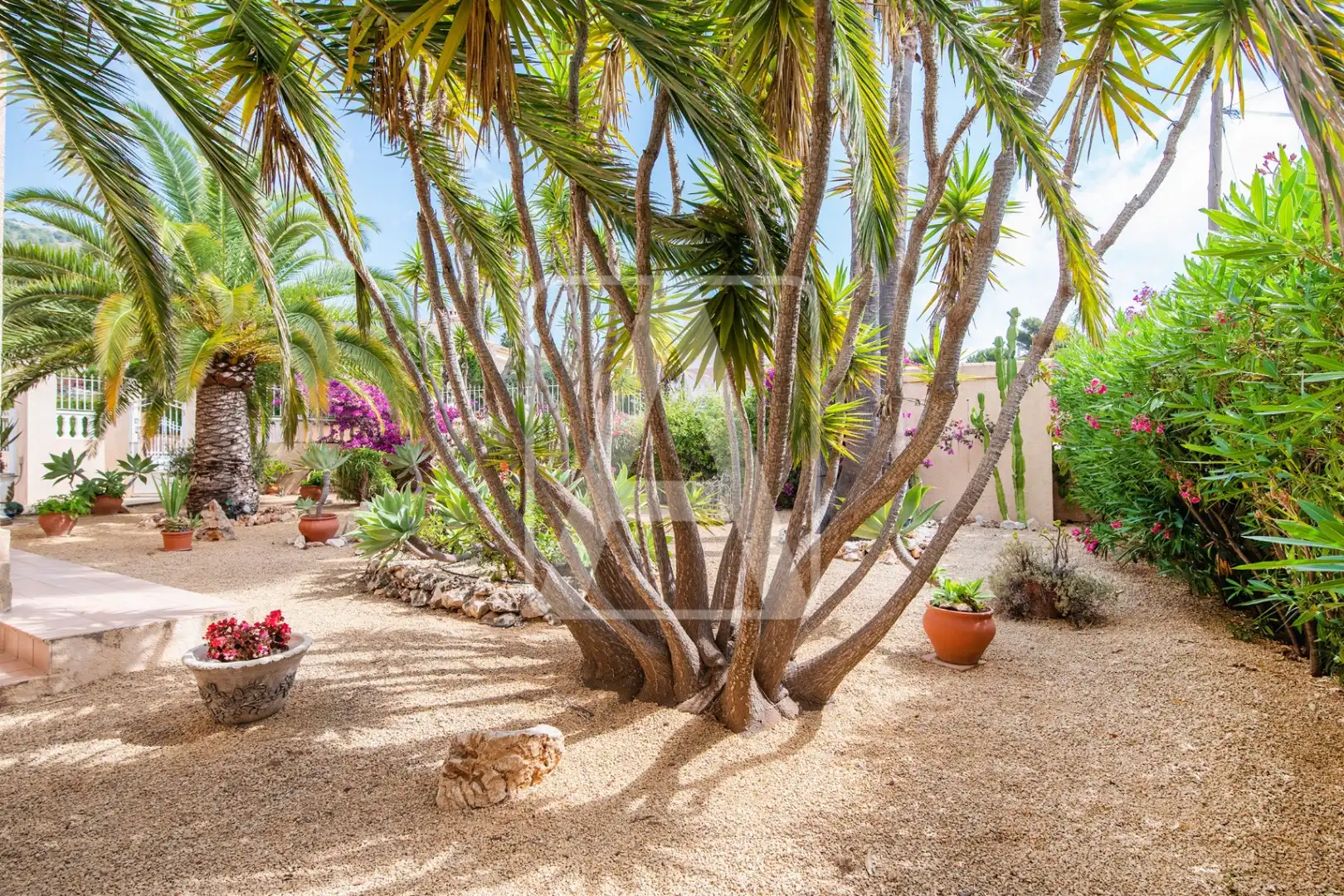 Jardí de Casa o xalet en venda en Calpe / Calp amb Aire condicionat, Calefacció i Jardí privat