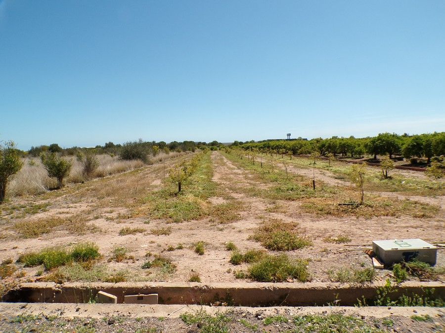 Residential for sale in Quart de les Valls
