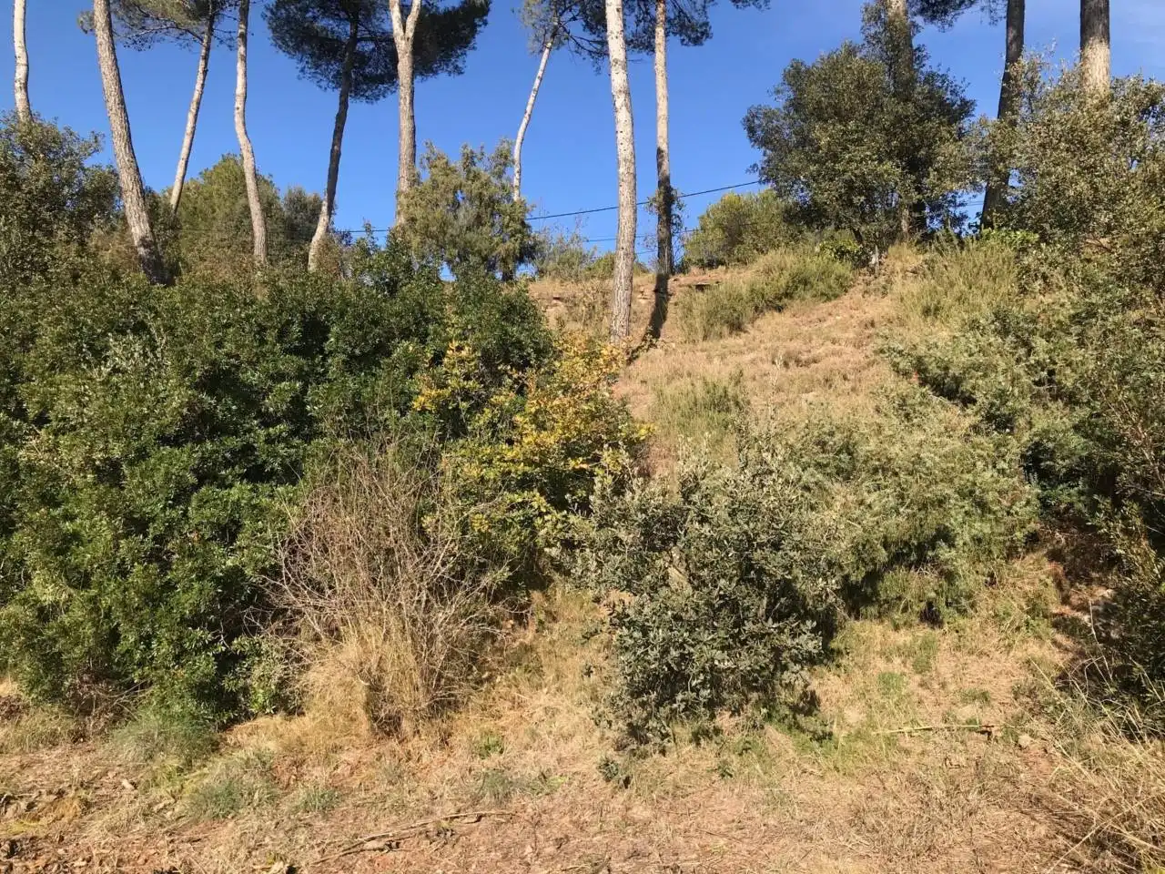 Fabrik Grundstücke zum Verkauf in Castellnou de Bages