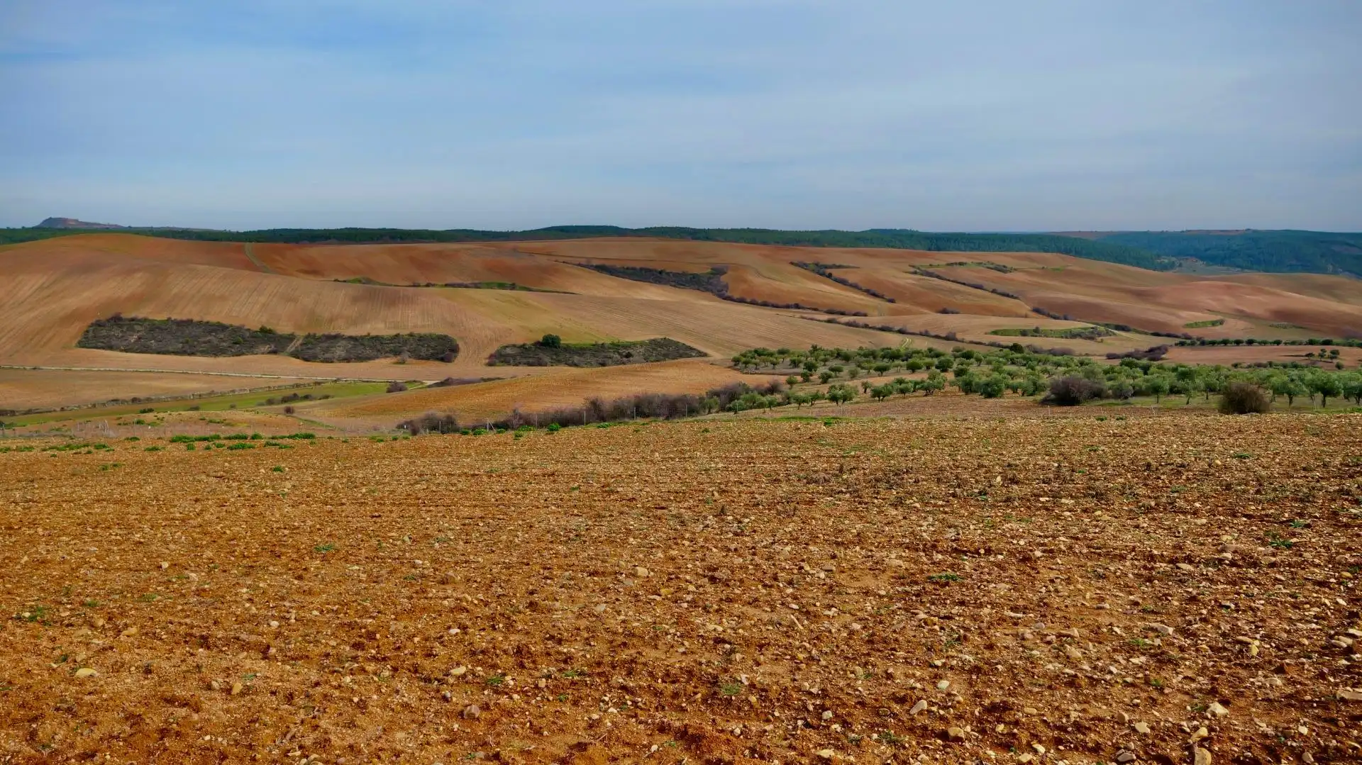 Land for sale in Arbancón