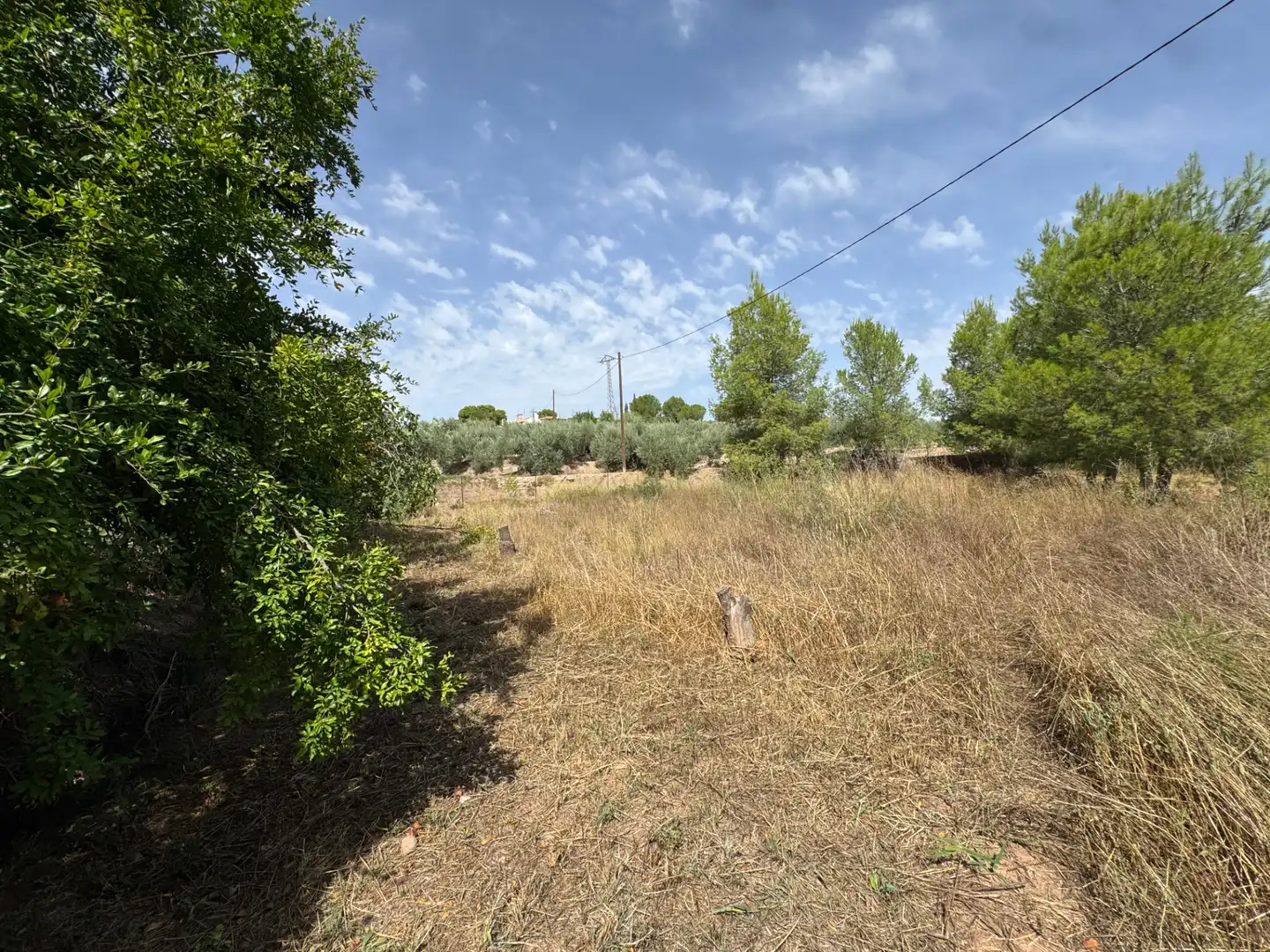 Houses for sale in Diseminado Escobar, 224, Cehegín
