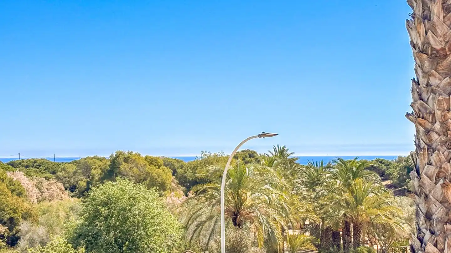 Vista exterior de Casa adosada en venda en Santa Pola amb Aire condicionat, Jardí privat i Terrassa
