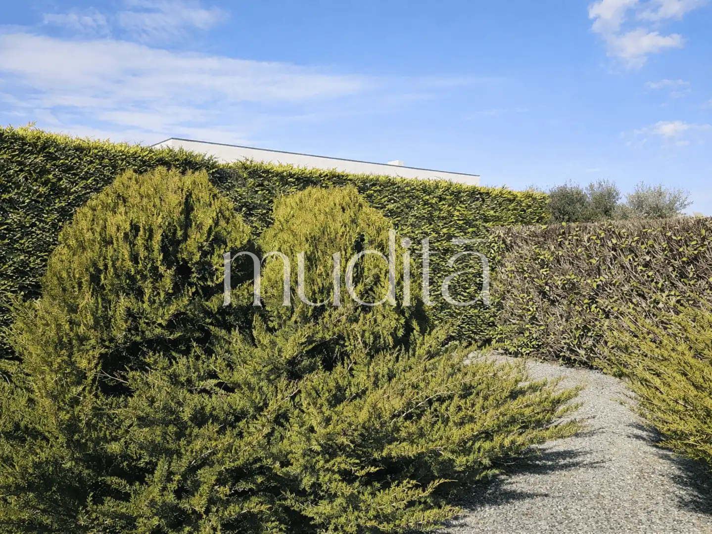 Jardín de Casa o chalet en venta en Seva con Calefacción, Jardín privado y Terraza