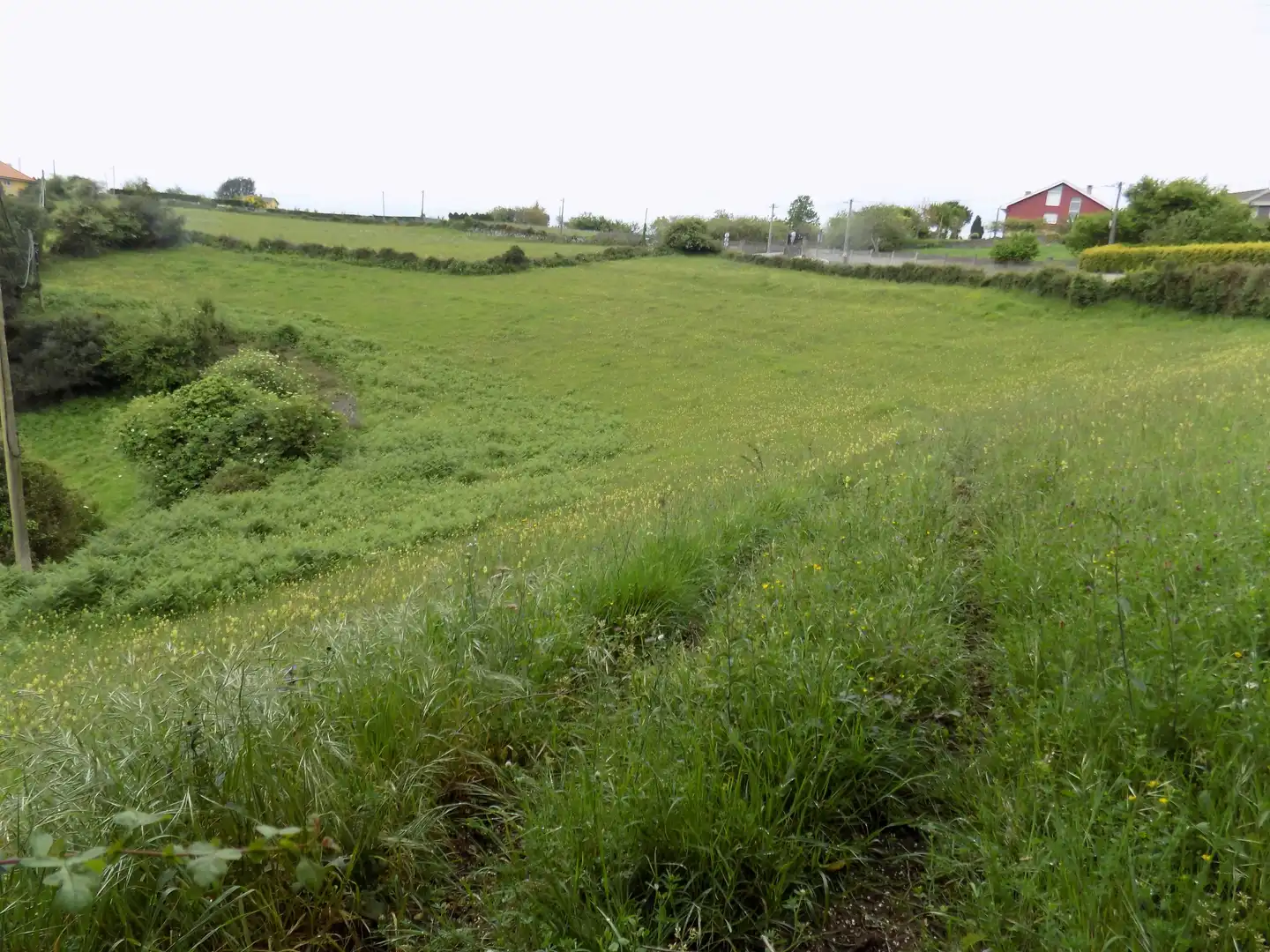 Terreny residencial en venda a Rural, imagen 5