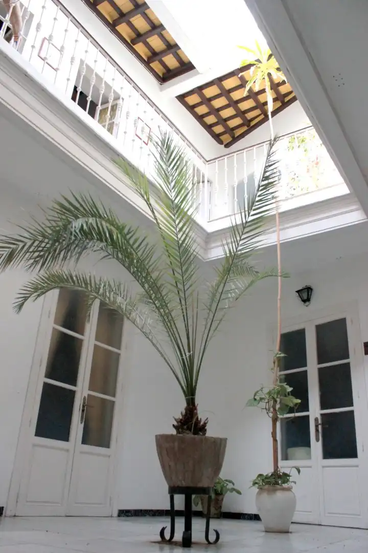 Casa con terraza en venta en Calle Marqués de Tamarón, imagen 11