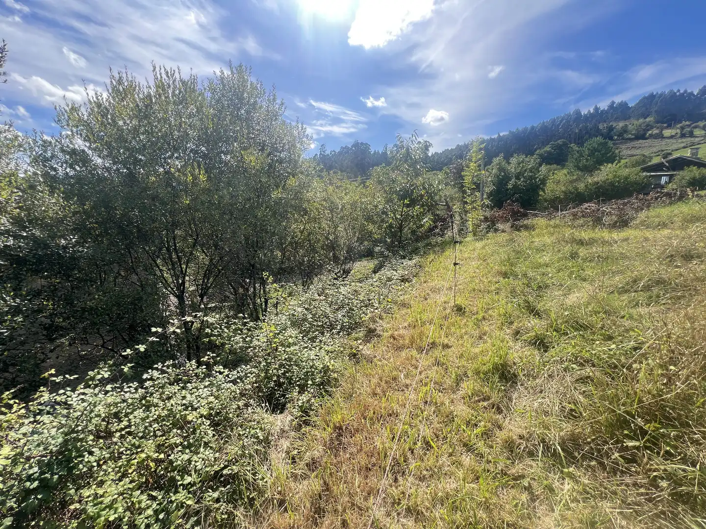 Lands and plots for sale in Pillarno, imagen 18