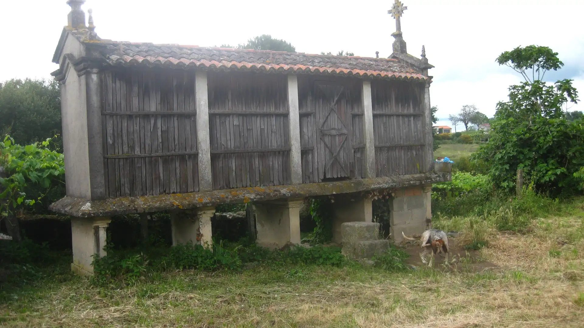 House with garden for sale in Silleda, imagen 4