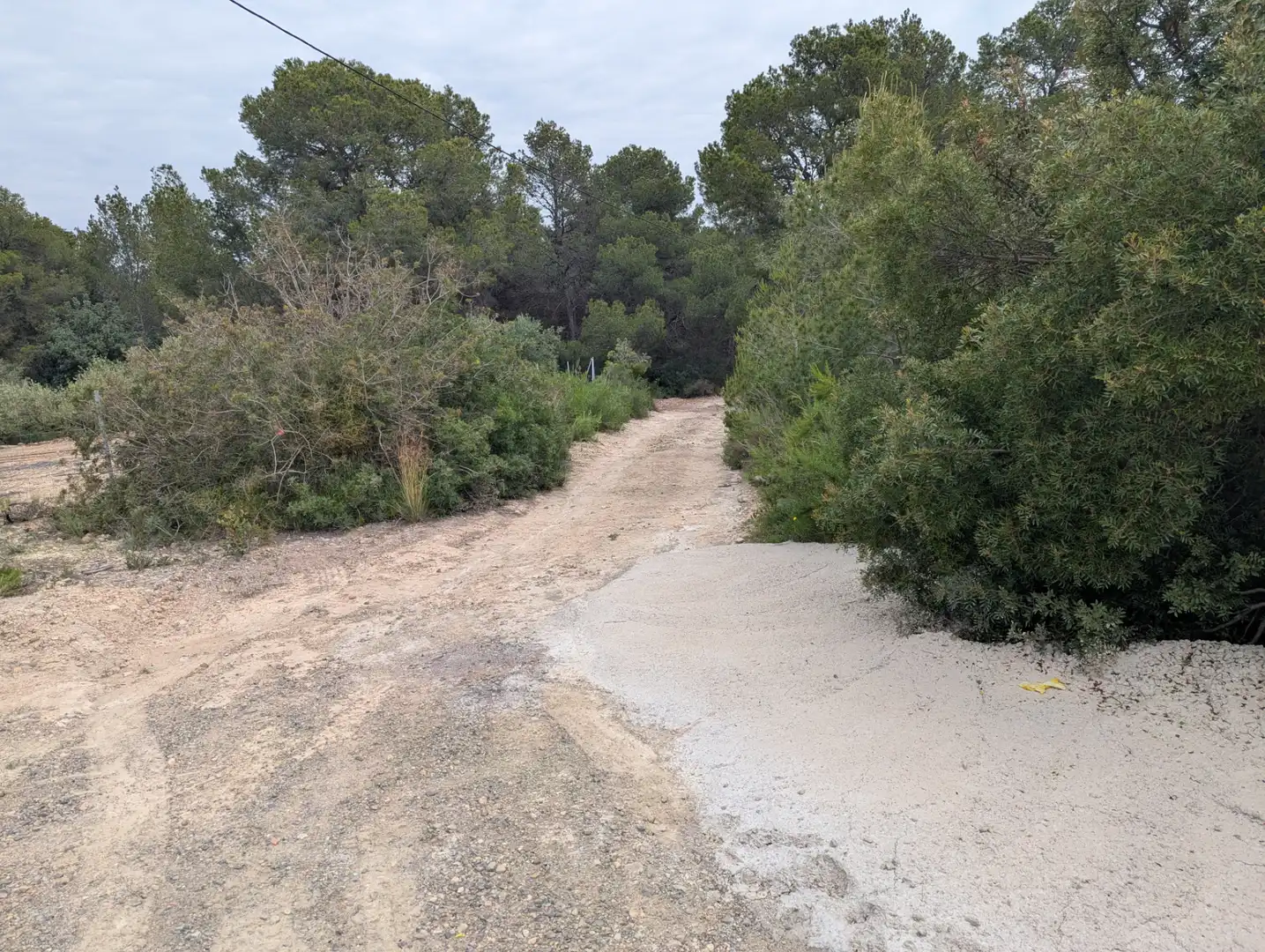 Terreno rustico in vendita a Camino 2 39, imagen 8